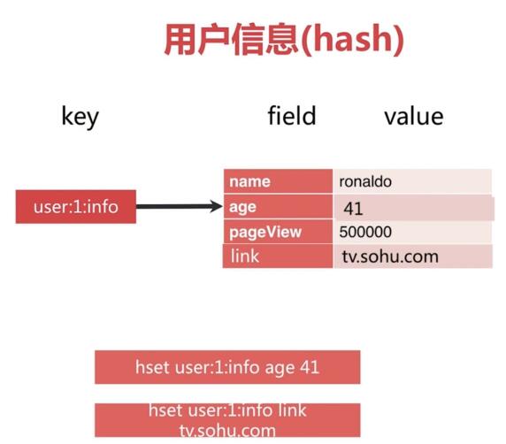 用户信息hash
